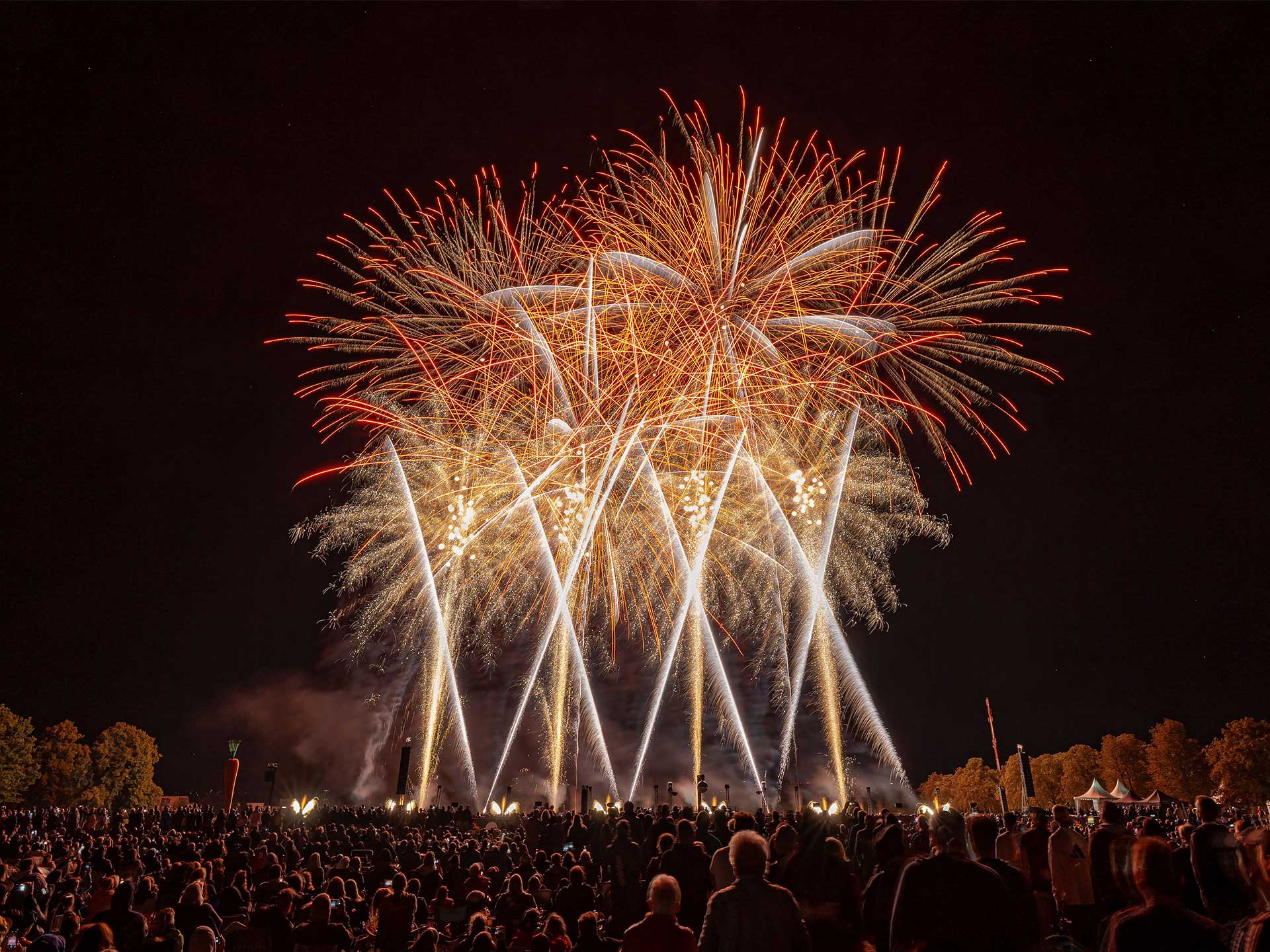 Ein Feuerwerk das verzaubert